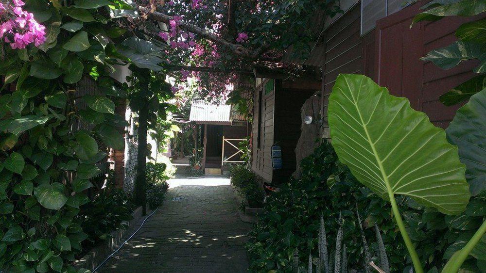 Ombak Inn Chalet Kampung Teluk Nipah Ngoại thất bức ảnh
